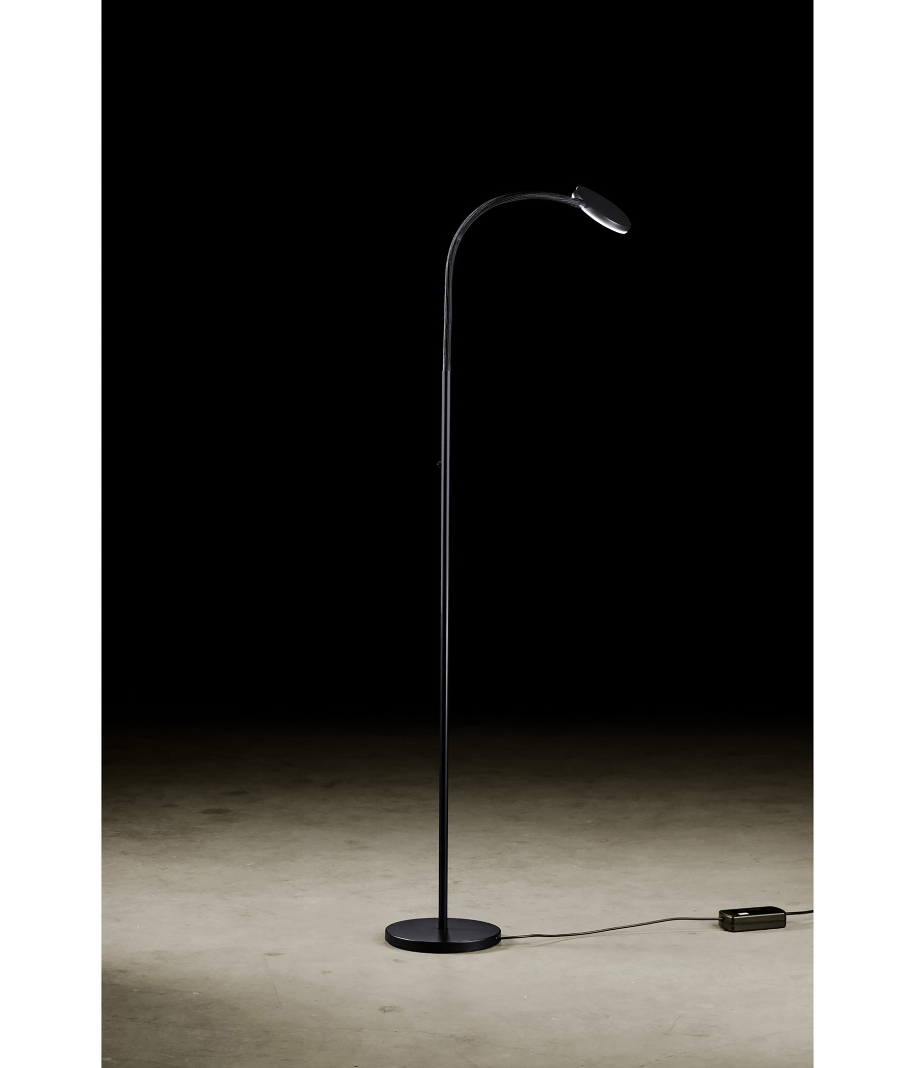 Holtkötter Flex S Stehleuchte schwarz / schwarz LED