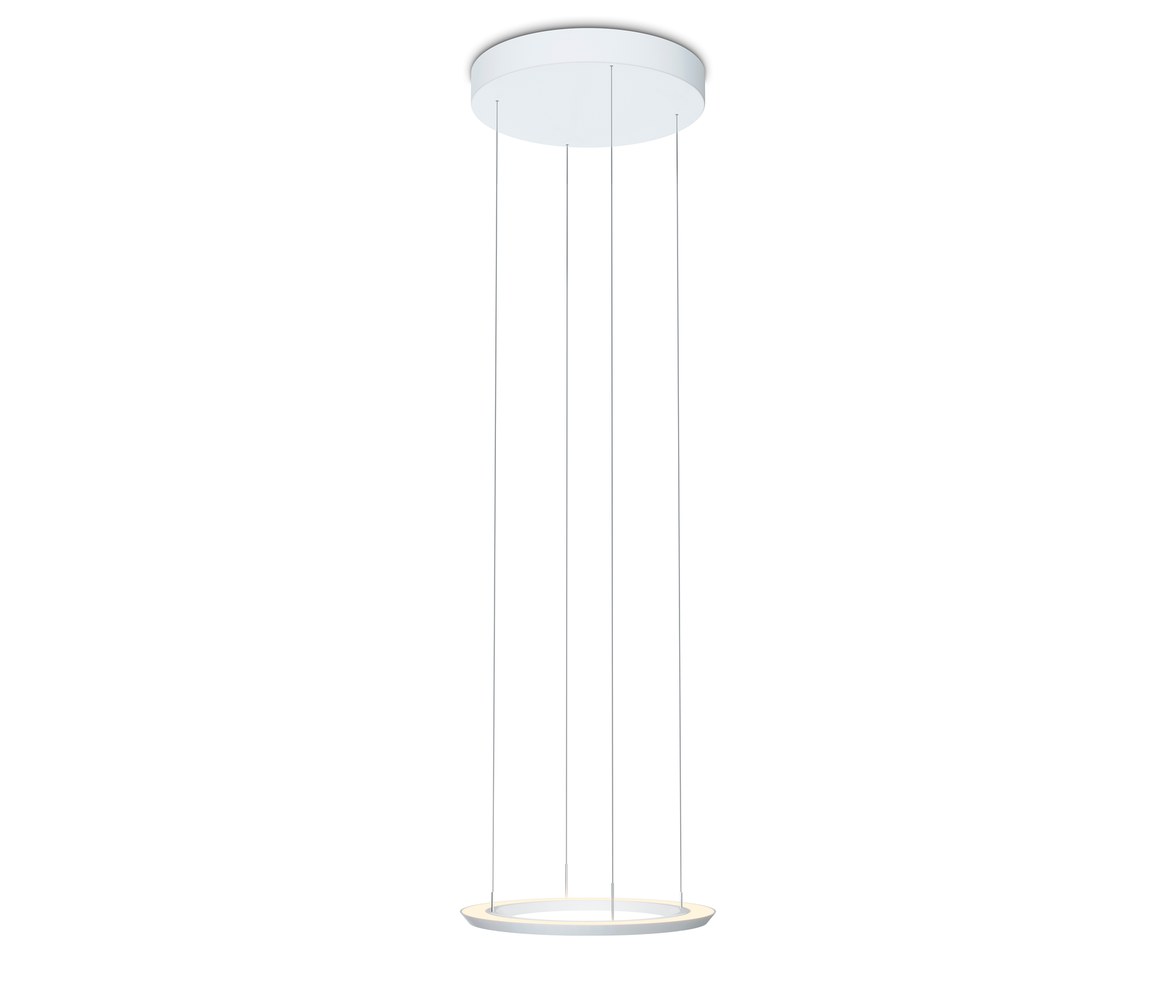 Oligo Yano Pendelleuchte LED